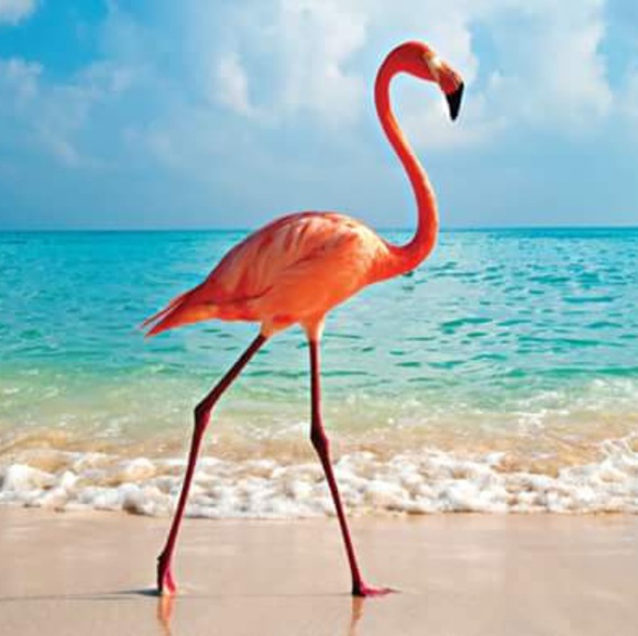 Meet Posh Ambassador, Heather - Picture 9 of 9